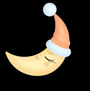 moon icon