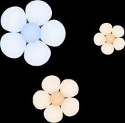 flower pokochan