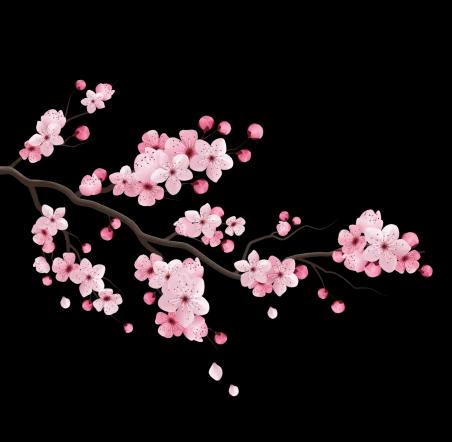 flower image